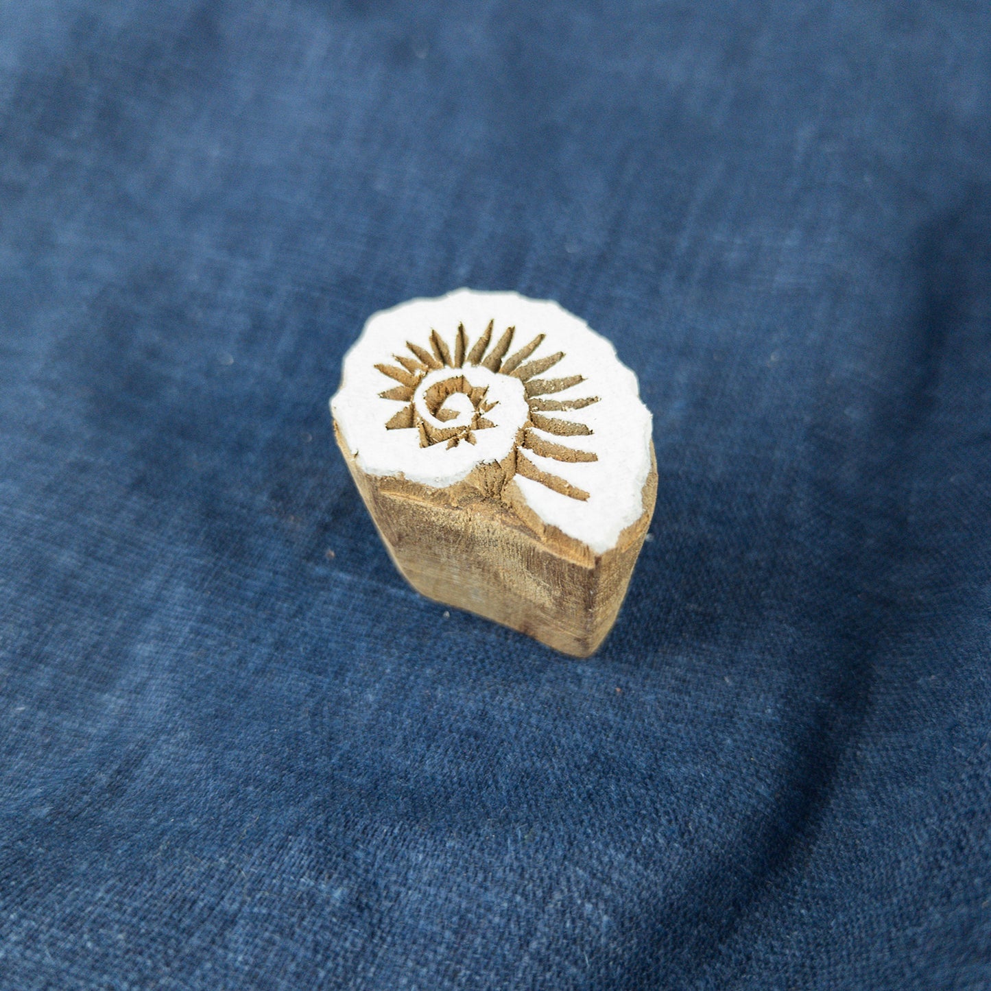 Small Ammonite Shell Stamp | Indian Printing Blocks