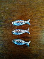 Three scaley fish