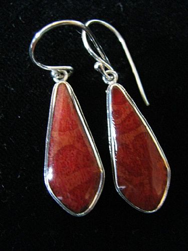 Photo of our Silver teardrop earrings