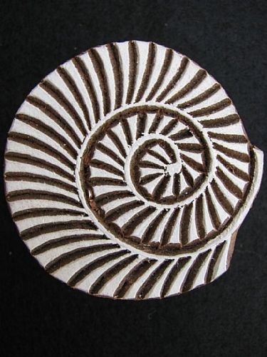 Photo of our Curled shell printing block